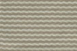 Barbados - Oyster