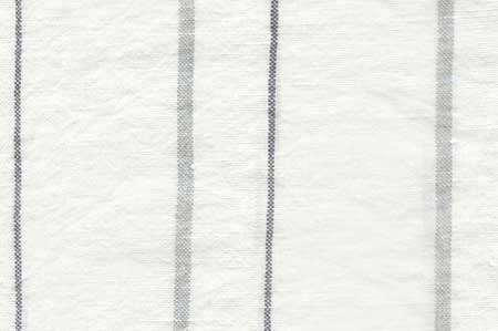 Reiner - Shadow
