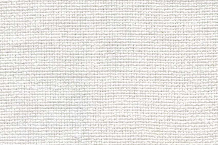 Vilette - Oyster